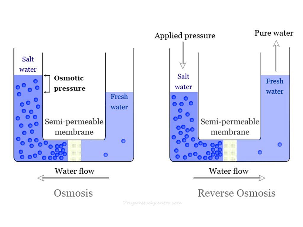 Ultimate Guide To Choosing Perfect Water Purifier In India